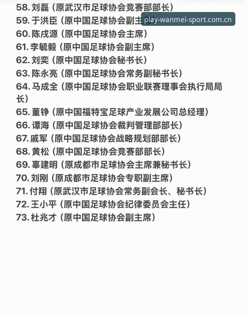 完美体育苹果版安装教程 中国足协第三批禁足名单全览:17人终身禁赛,48人受重罚